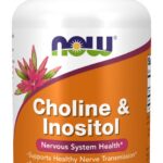 NOW Choline + Inositol 100