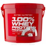 Scitec 100% Whey Protein Professional 500g Chocolate Hazelnut